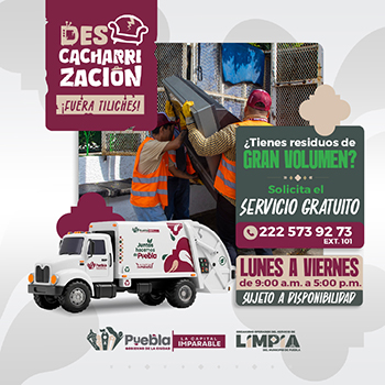 Descacharrización