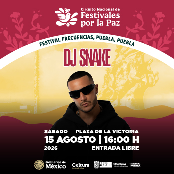 DJ Snake