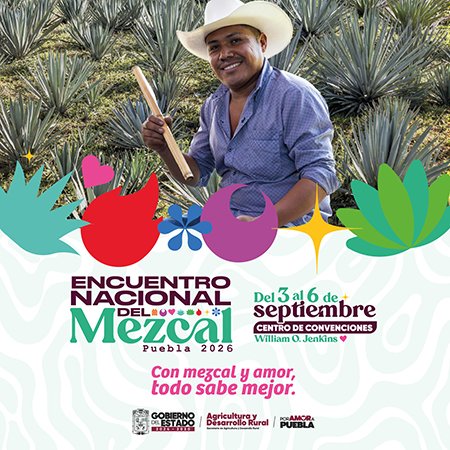 Encuentro Mezcal