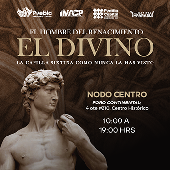 EXposición David