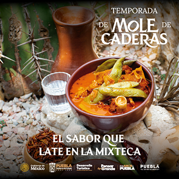 Mole de Caderas