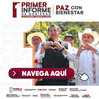 Primer Informe Armenta Mier