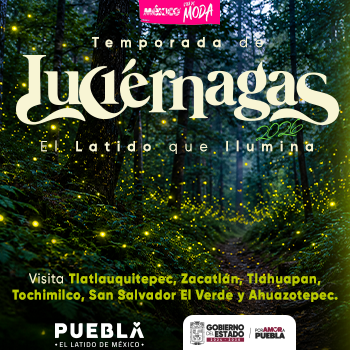 Temporada de Luciernagas