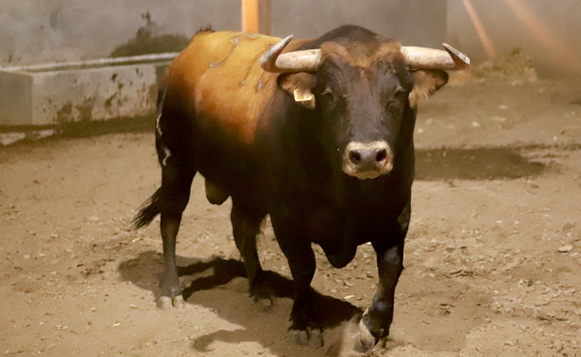 Los de Tenopala para La Corrida de la Prensa ya están en Apizaco