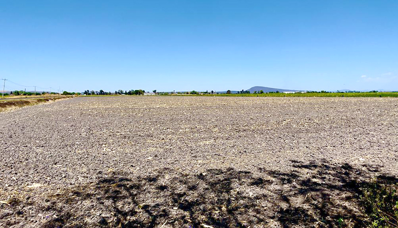 Aumenta en 100 mdd el valor de plaguicidas ilegales en el campo mexicano en sólo dos años: UMFFAAC
