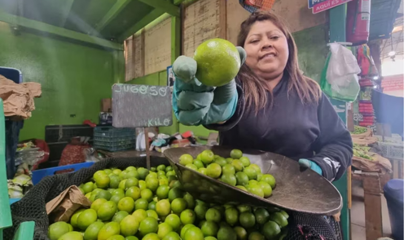 Extorsiones en Michoacán provocan aumento en el precio del limón