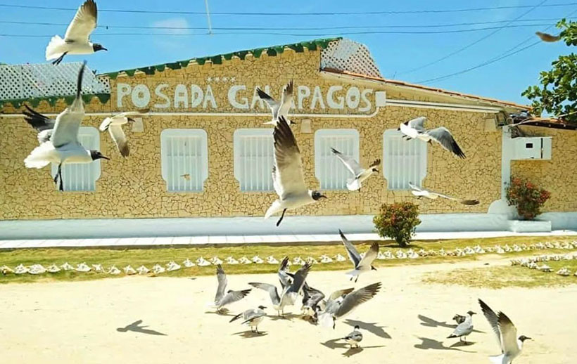 Posada Galápagos Enciende los Motores para Carnavales en 2024