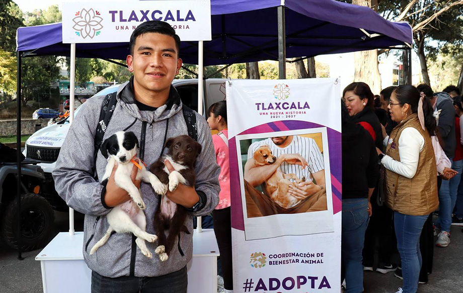 Coordinación de bienestar animal realizó el primer “Adogtame” 2025