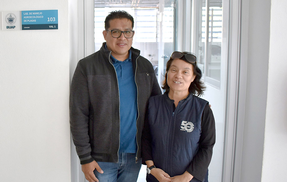 Investigadora del ICUAP estudia el comportamiento biológico de la plaga conocida como “gallina ciega” para su control