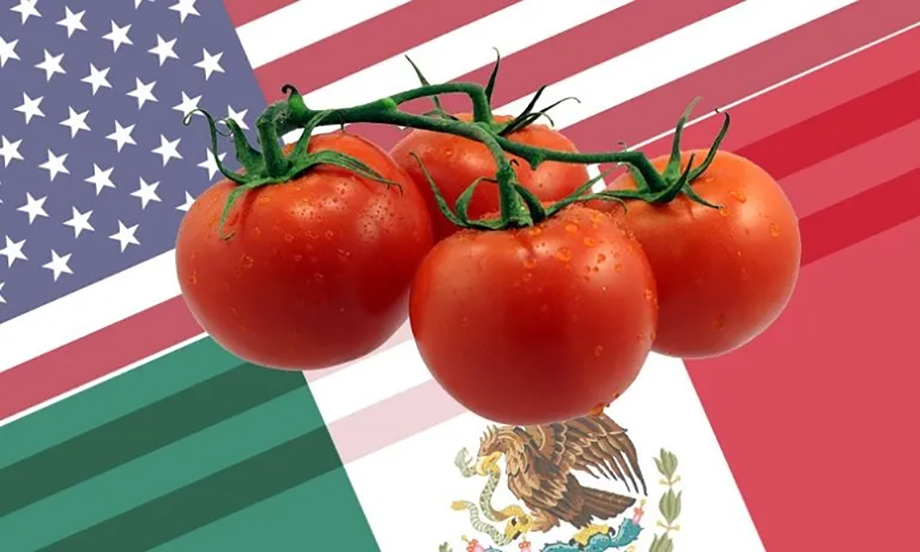 Trump aplicará aranceles al jitomate mexicano