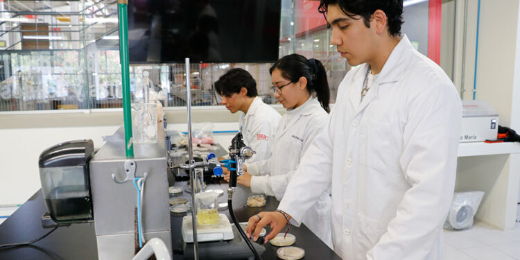 Innovación para la salud: talentos IBERO Puebla desarrollan alternativa sustentable para heridas y cicatrización