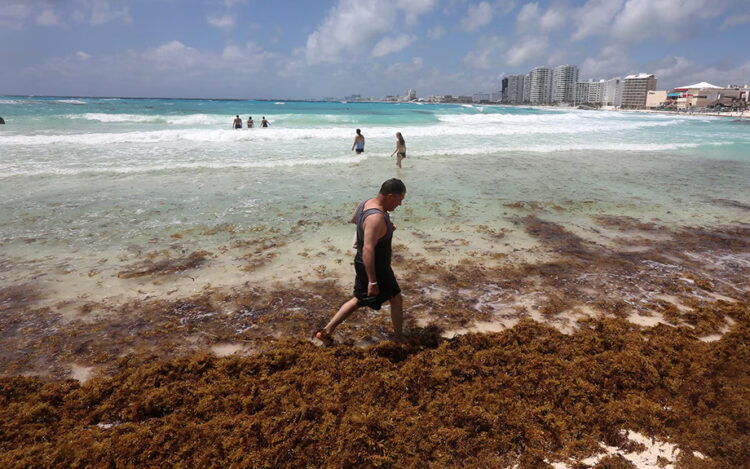 Sargazo amenaza con ahuyentar al turismo en el Caribe mexicano