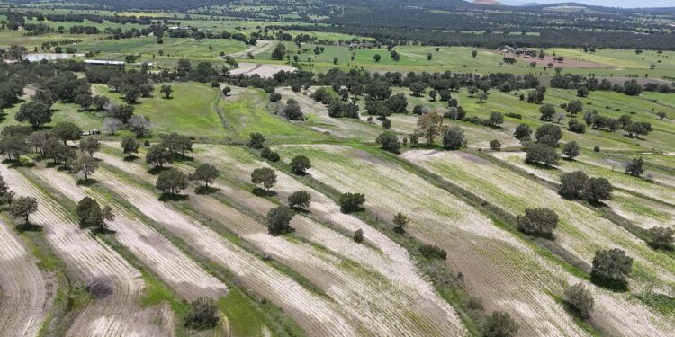 SIA activa apoyo emergente para productores con cultivos dañados por lluvias