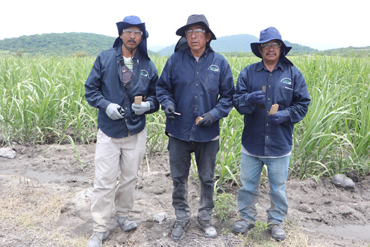 Se impulsa la seguridad del campo poblano para las y los mixtecos