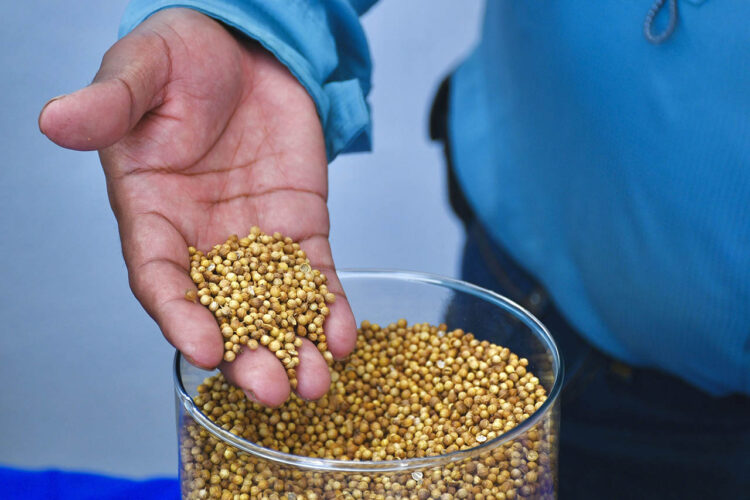 17 edición de la Expo Hortícola Puebla-BUAP 2025