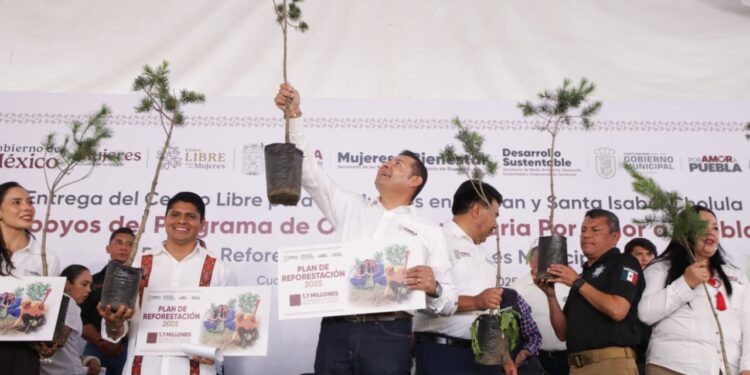 Con reforestación, Gobierno de Armenta Puebla construye paz ambiental