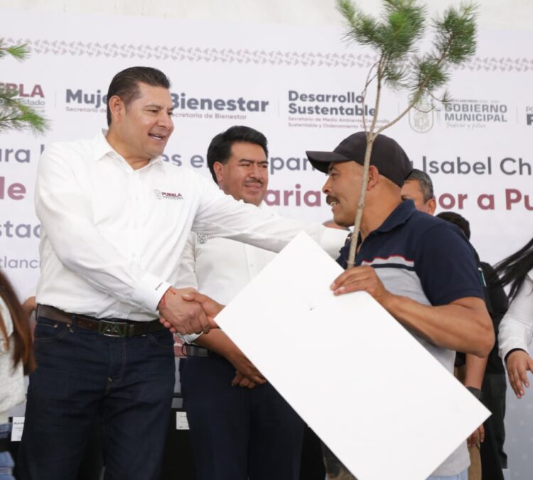 Con reforestación, Gobierno de Armenta Puebla construye paz ambiental