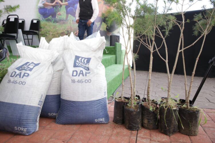 Con reforestación, Gobierno de Armenta Puebla construye paz ambiental