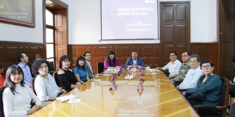 Con sociedad, Comisión impulsa punto de acuerdo para reconocer “árboles patrimoniales”