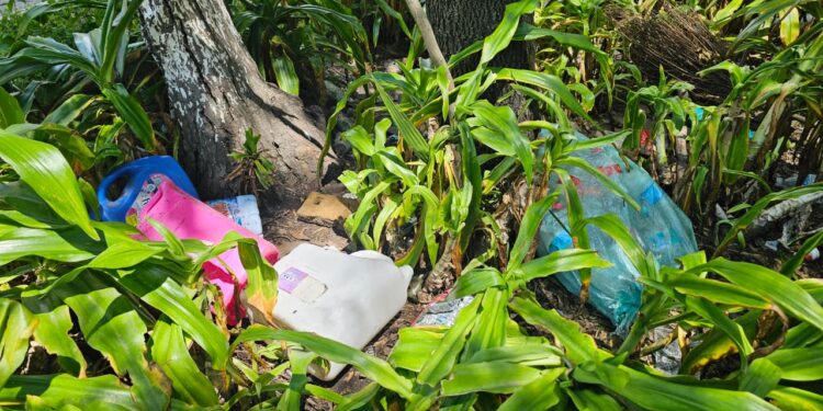 Emite IMSS Puebla recomendaciones para prevenir contagios por dengue durante la temporada de lluvias