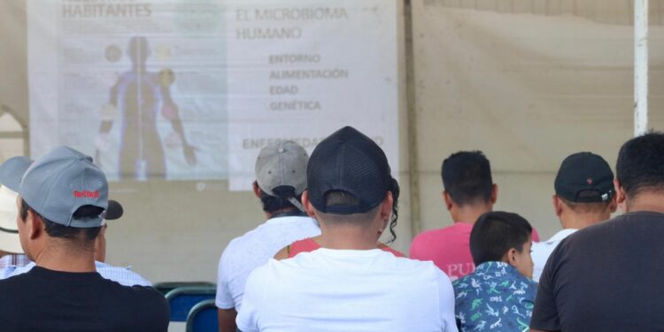 Impulsan la investigación para tecnificar la producción de café en Huitzilan