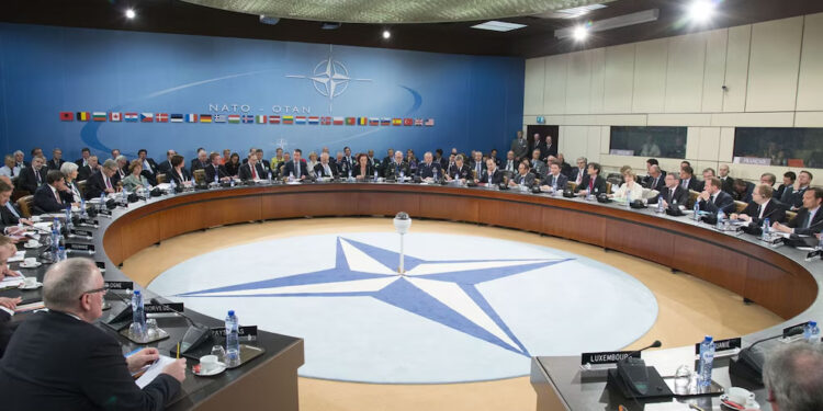 OTAN evalúa la defensa y seguridad de Ucrania