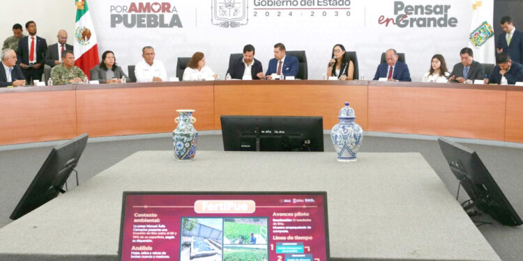 Inician pruebas para convertir lirio en mejorador de suelo agrícola