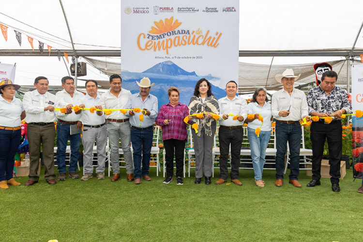 Arranca la temporada de flor de cempasúchil en Puebla
