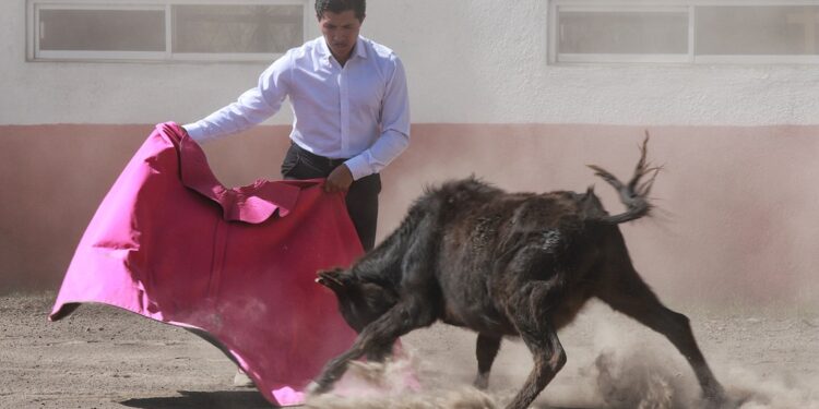 Luis Fernando Martínez continúa preparándose en el Campo bravo