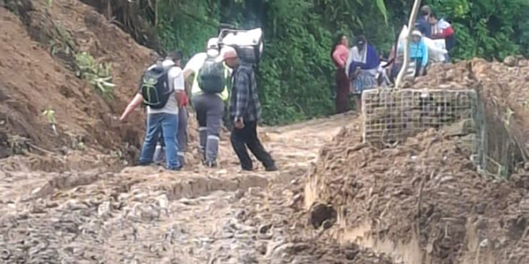 Carretera Zacatlán–Chiconcuautla: años de abandono y ninguna solución