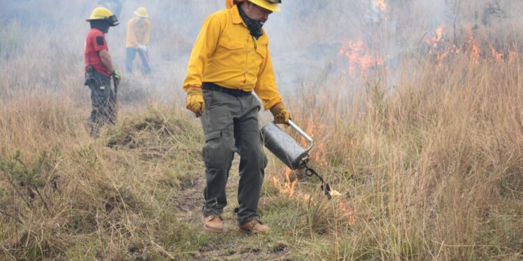 Gobierno de San Pedro Cholula refuerza la capacitación en prevención y combate de incendios forestales