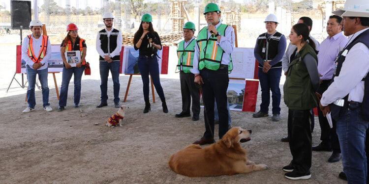 Avanza construcción de Centro de Bienestar Animal; dignificará atención de seres sintientes