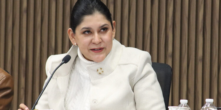 Entrega Ana Lilia Tepole acciones del programa de Obra Comunitaria