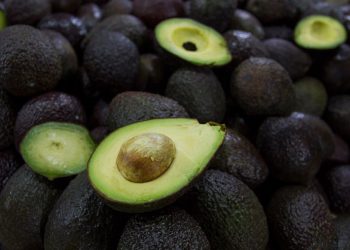 El oro verde del Super Bowl: 120 mil toneladas de aguacate exportadas