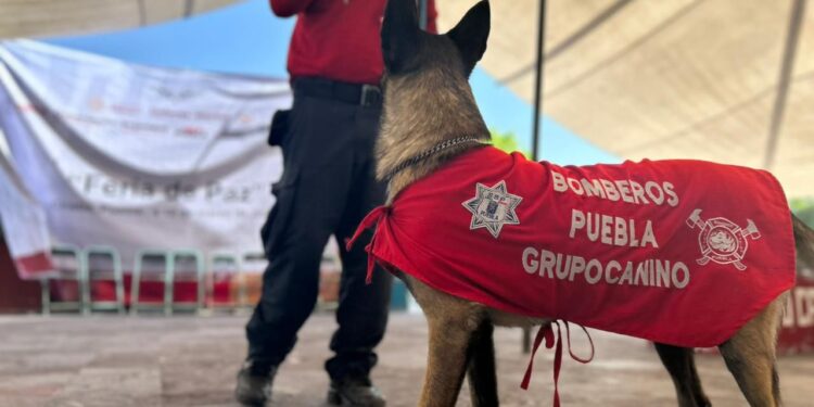 Anuncian Feria de la Paz y Capacitación en la Sierra Norte