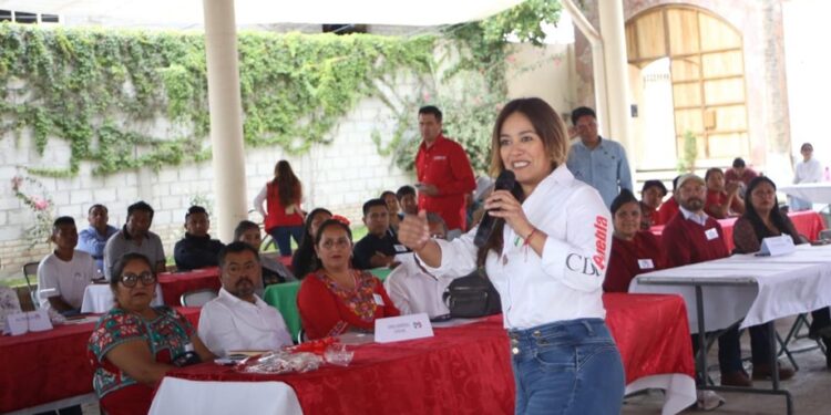 Fortalece PRI Puebla su estructura municipal con toma de protesta en la región de Ajalpan