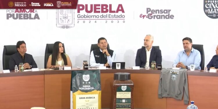 Partidos deberán investigar a fondo a sus candidatos para elección popular: AAM