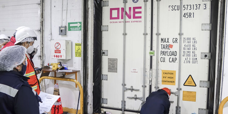 Red de inspección de Senasica impide entrada de 743 productos portadores de plagas a México