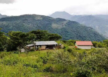 Olintla: los apoyos insuficientes para el campesino