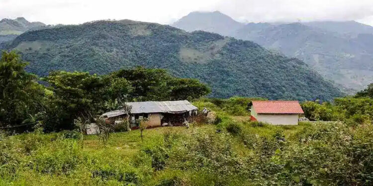 Olintla: los apoyos insuficientes para el campesino