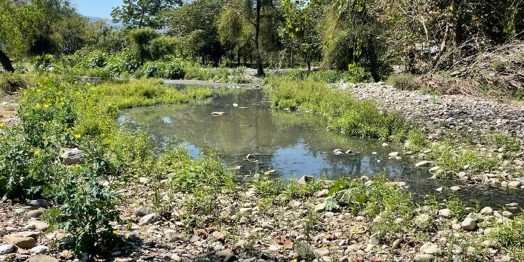 Realizarán marcha para exigir obras en La Ceiba