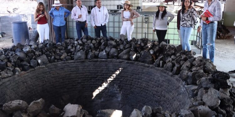 Trabajo en territorio: Pável Gaspar impulsa desarrollo, turismo y bienestar en la Mixteca poblana