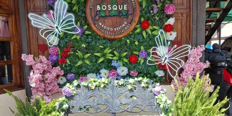 Bosque Encantado: Más que un parador turístico, un lugar que enamora