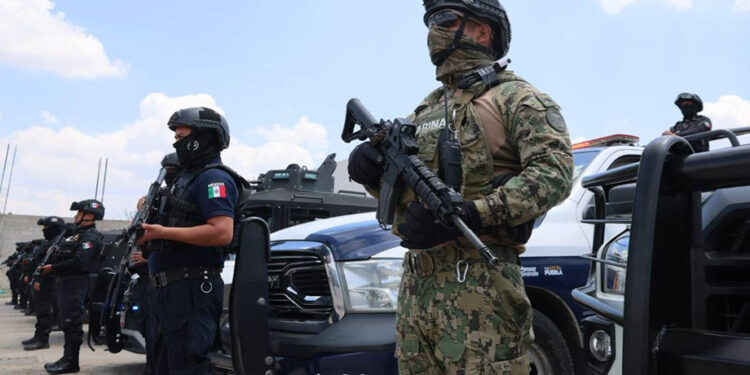 Acciones operativas e interinstitucionales permiten la detención de 80 personas