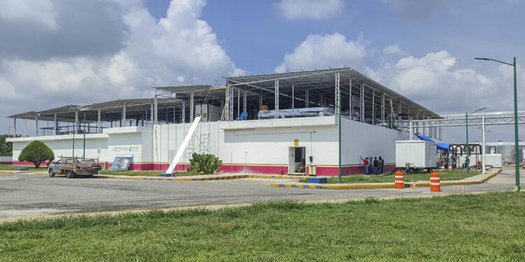 Planta que producirá moscas estériles para erradicar el gusano barrenador del ganado lleva 75% de avance