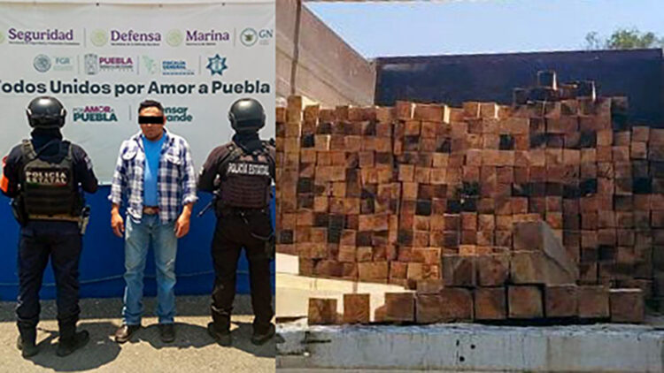 Detiene Policía Forestal a hombre que trasladaba ilegalmente 370 piezas de madera