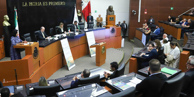 Emite el Senado la declaratoria de aprobación de la reforma constitucional en materia de feminicidio