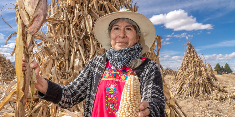Gobierno de México proyecta inversión histórica de 17 mil 266 mdp para el campo agrícola de Zacatecas