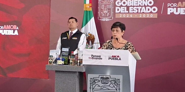 Se iniciará proceso para concesiones en la zona Metropolitana y mejorar el servicio: Silvia Tanús