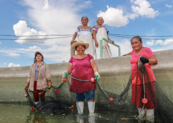 Se unen Conapesca y Alianza del Pacífico para impulsar a mujeres de la pesca y acuacultura artesanal